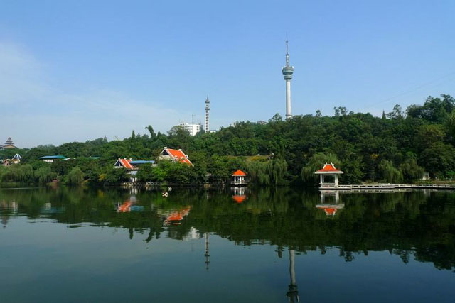 首页| PA视讯集团中国官方网站